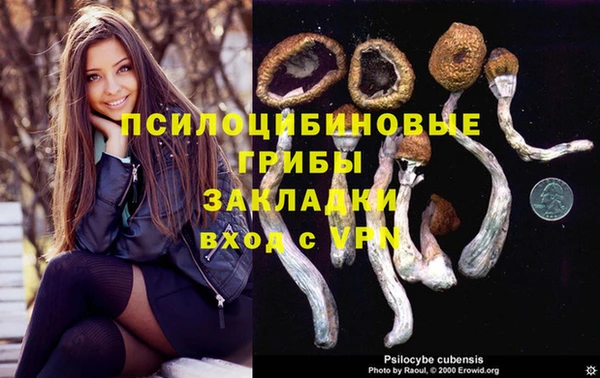 гашиш Заводоуковск