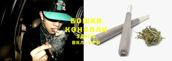 молекула духа Заволжье