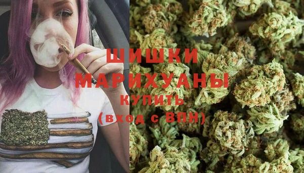 молекула духа Заволжье